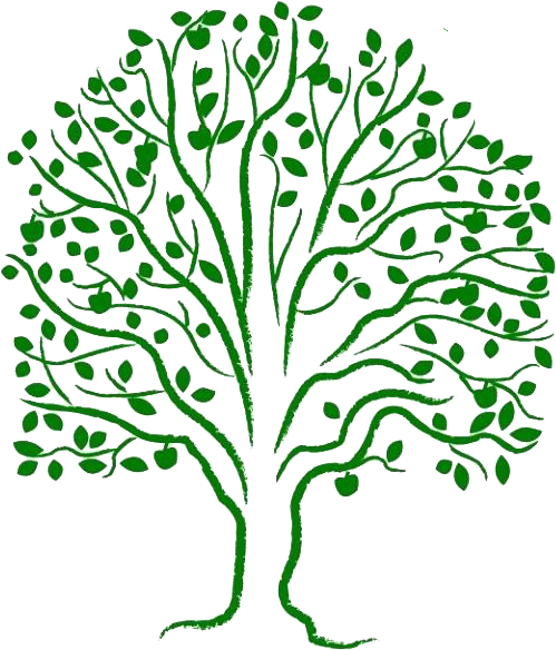 The Tree Of Life World Federation Of Methodist And Uniting Church Women