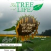 The Tree of Life (April - June 2025)