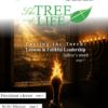 The Tree of Life (April - June 2026)